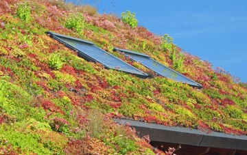 Weston Beggard living roof systems